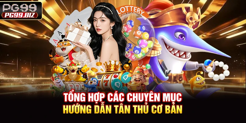 Tổng hợp các chuyên mục hướng dẫn tân thủ cơ bản